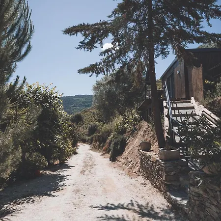Oda ve Kahvaltı Quinta Da Portela Douro 4*