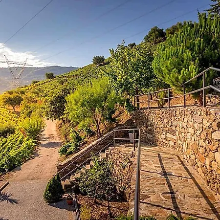 فندق مبيت وإفطار Quinta Da Portela Douro بلدية آرمامار