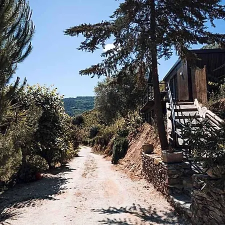 Quinta Da Portela Douro بلدية آرمامار