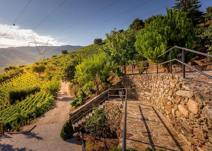 Bed & Breakfast Quinta Da Portela Douro