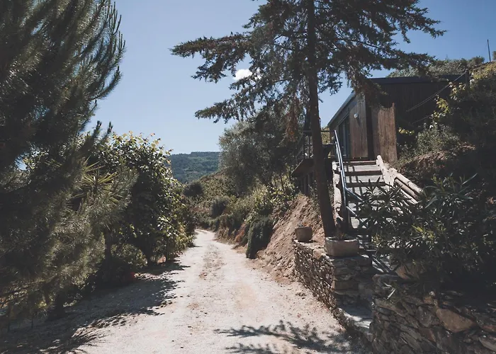 Bed & Breakfast Quinta Da Portela Douro 4*