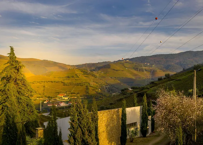 Quinta Da Portela Douro Bed & Breakfast Armamar